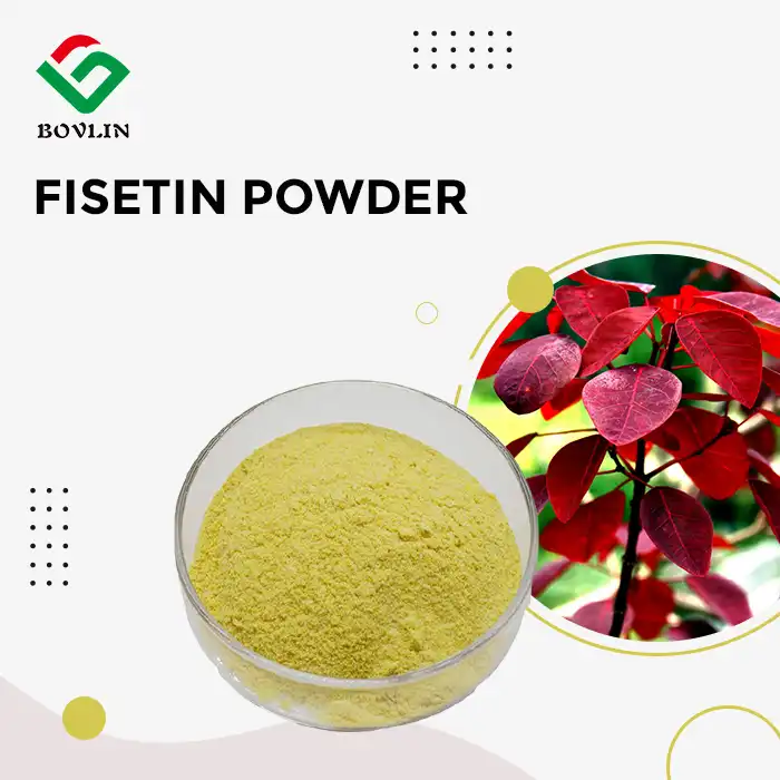 Fisetin Powder